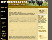 Tablet Screenshot of cowbcs.info